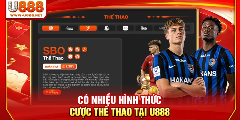 Có nhiều hình thức cược thể thao tại U888