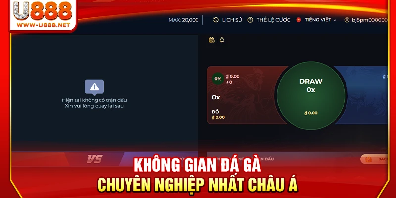 Không gian đá gà chuyên nghiệp nhất châu Á