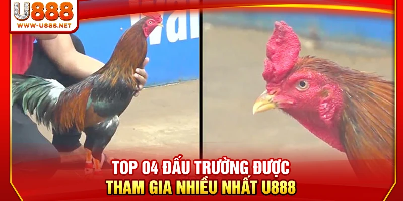Top 04 đấu trường được tham gia nhiều nhất U888